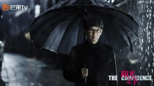 劇情嚴絲合縫很巧妙 人物有血有肉有力量 陽光之下 值得追看